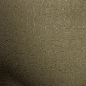 Addicted Reptile Bikini Brief Khaki