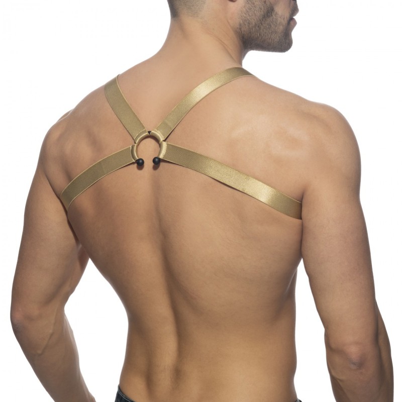 Addicted Bull Ring Harness gold